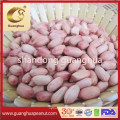 New Crop Healthy Long Round Shape Good Color Peanut Kernels